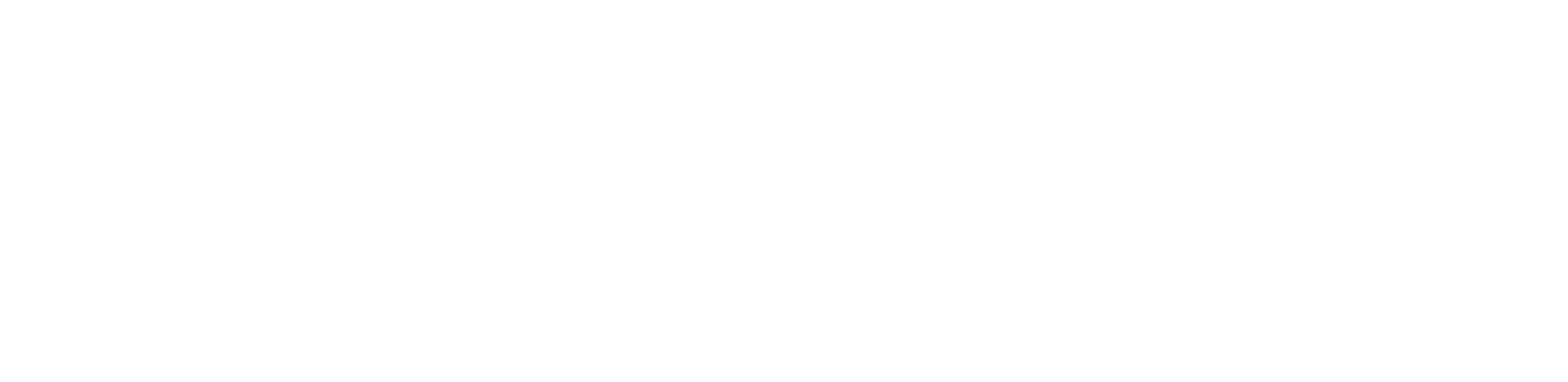 Entropía AI